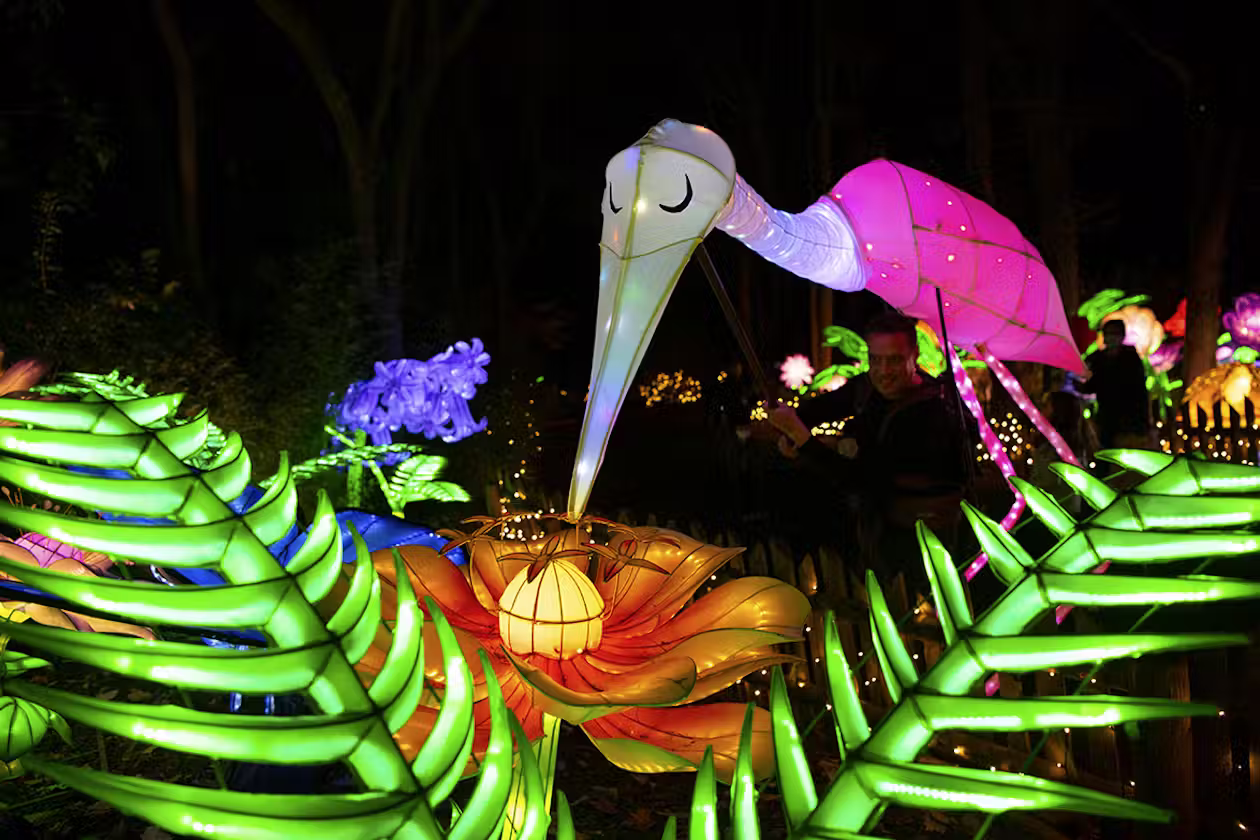 Bronx Zoo: Holiday Lights Tickets