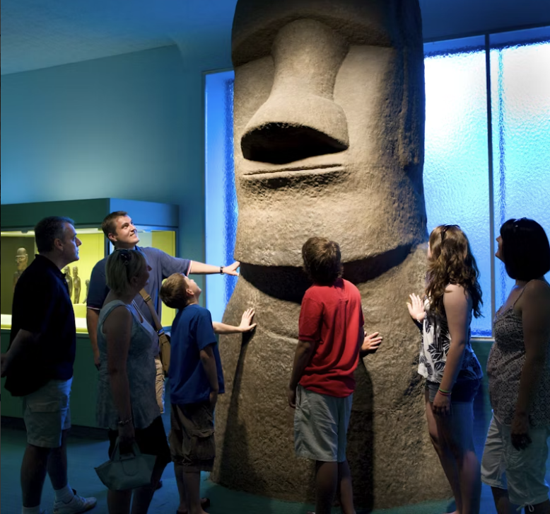 American Museum of Natural History (AMNH): Entry Ticket
