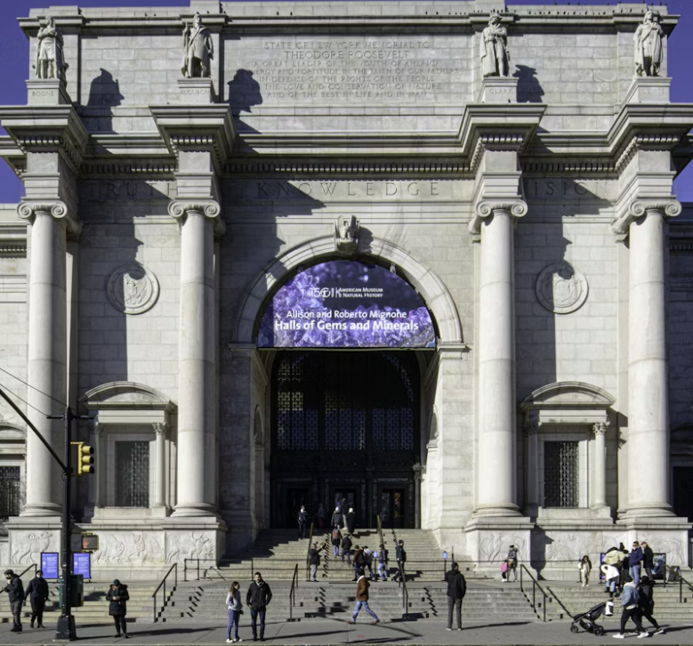 American Museum of Natural History (AMNH): Entry Ticket
