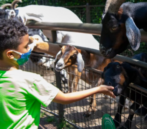 Central Park Zoo: Total Experience
